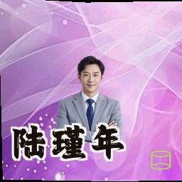 陆瑾年